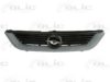 BLIC 6502-07-5077990P Radiator Grille